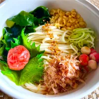 リモートワークのおひとり様ランチ🥢梅紫蘇冷うどん|KANAさん