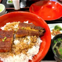 特鰻丼