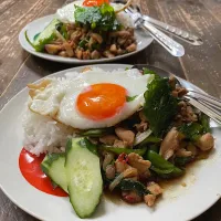 鶏のガパオ炒め/ผัดกระเพราไก/パット・ガパオ・ガイ
