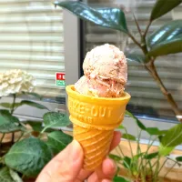 😋手作りルバーブアイス❤️