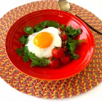 フライパン1つで簡単！本格タイ料理★ガパオライス|ココキッチンさん
