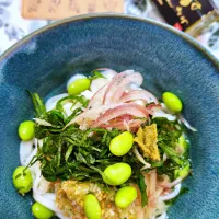 🔷流水麺稲庭うどんdeアルモンデ薬味ぶっかけ🔷