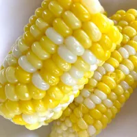 とうもろこし🌽|さくたえさん