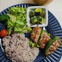☆夕飯☆だいたい571kcal。雑穀米、味噌汁、サラダ、胡瓜塩昆布、ピーマン肉詰め|ｼｮｺﾗさん