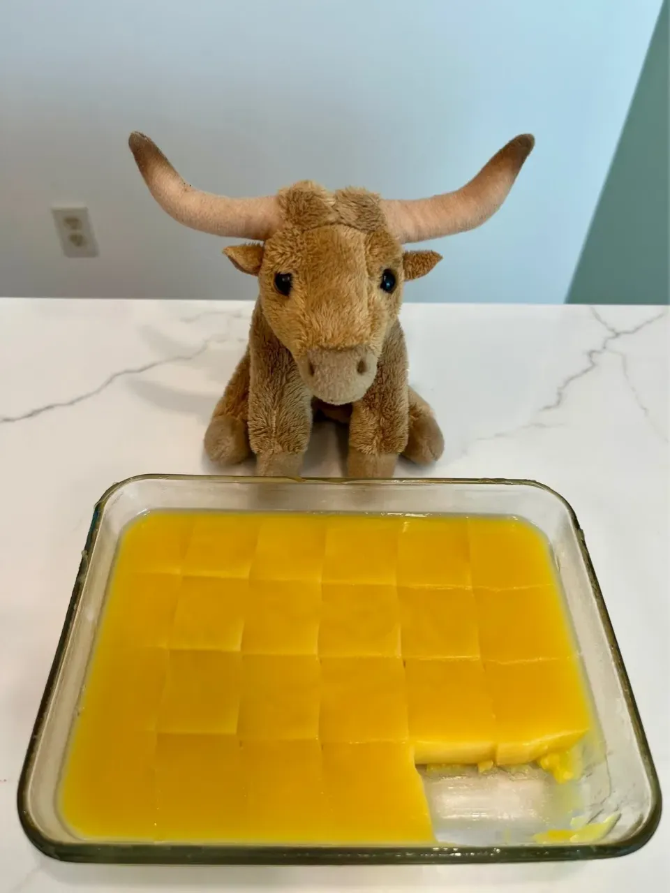 2025/6/21   オレンジジェローで水分補給！   Hydrate with Orange Jell-O!|19 Boys & 野鳥さん