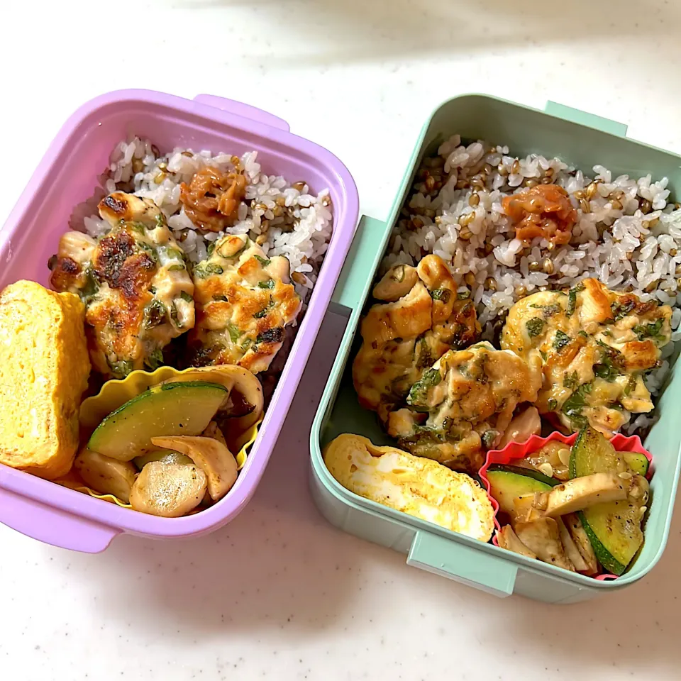 お弁当🍱|あおさん