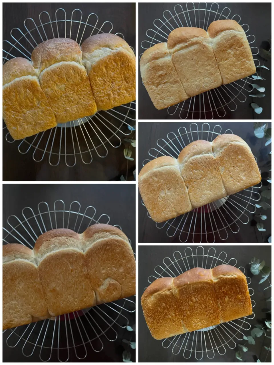 プロテイン山食🍞最終章|yucca@さん