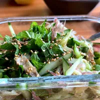 シソみょうがキュウリのナムル