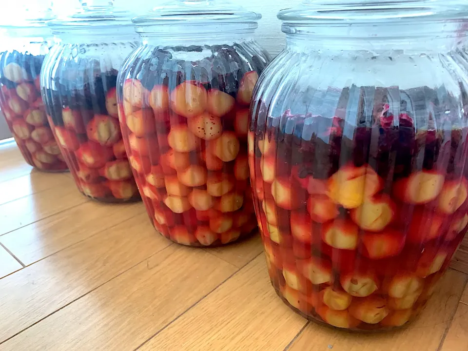 🔴赤紫蘇を入れて土用を待つ|いちごさん