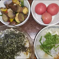 しらすと大根おろしの冷うどん|アクちゃんさん