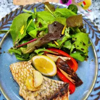 🔷ユウキ世界ごはん博覧会🇮🇹真鯛のソテー☀天日干し野菜添え🇪🇸🔷