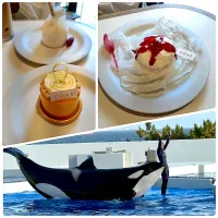 ⭐︎今日のおやつ⭐︎ コーヌさんのケーキ|hamamaさん