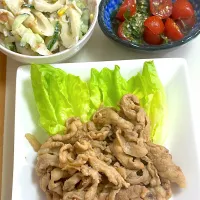 豚肉の生姜焼き献立| besさん