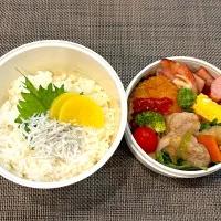 高校生息子のお弁当🍱 ハムステーキとチーズチキンカツ弁当🍱|Snow10さん