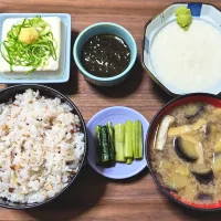 今日の朝ごはん（十六穀ごはんに山芋のとろろ、もずく酢、冷奴、なすと油揚げのみそ汁、野沢菜漬け）|Mars＠釜飯作り研究中さん