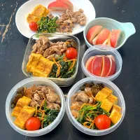 ほうれん草とにんじんナムル、卵、肉、ネクタリン。|hanakoさん