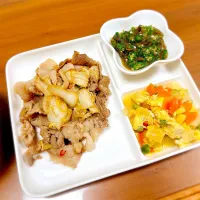 豚こまと白菜浅漬けの炒め物|teritamagoさん