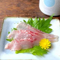 釣り魚🎣イシダイの刺身withマヨルカ島の塩| 9421beruさん