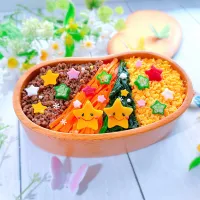 4色弁当|sachikoさん