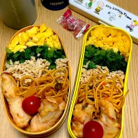2025.6.23  お弁当|もっさんさん