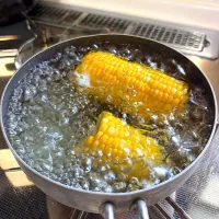 とうもろこしを茹でる