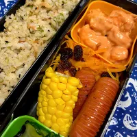 6/24エビマヨ弁当🦐|みっこちゃんさん