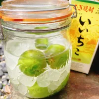 梅酒づくり| shibababaさん
