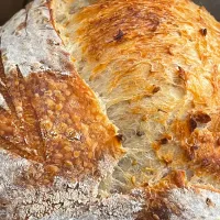 Sourdough|12Dragonさん