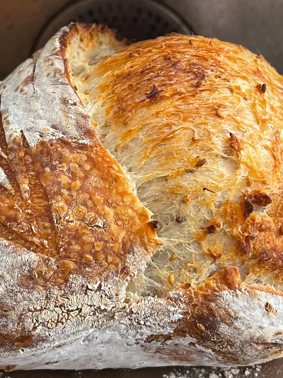 Sourdough|12Dragonさん