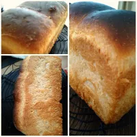 林檎酵母中種で山食🍞| とだともさん