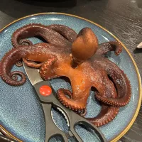 日間賀島で