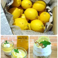 なだちいちゃんのレモン🍋✨