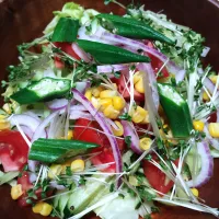 夏野菜のサラダ| Takkiさん