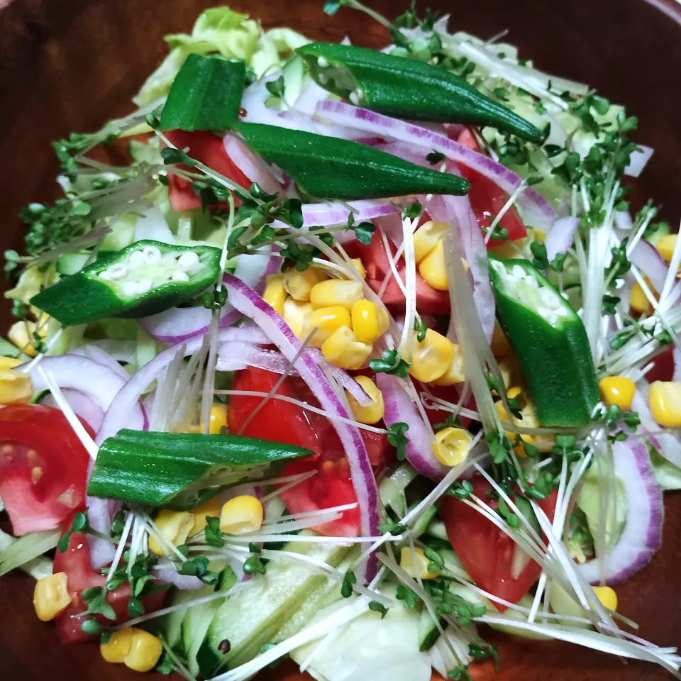 夏野菜のサラダ|Takkiさん