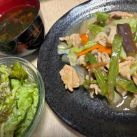 豚肉とお野菜の炒め物|mikanさん