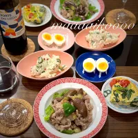 本日のおつまみ晩ご飯🍷😄🌟|マイコさん