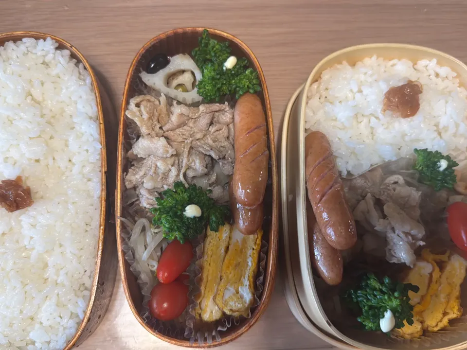 生姜焼き弁当🍱|ふみふみさん