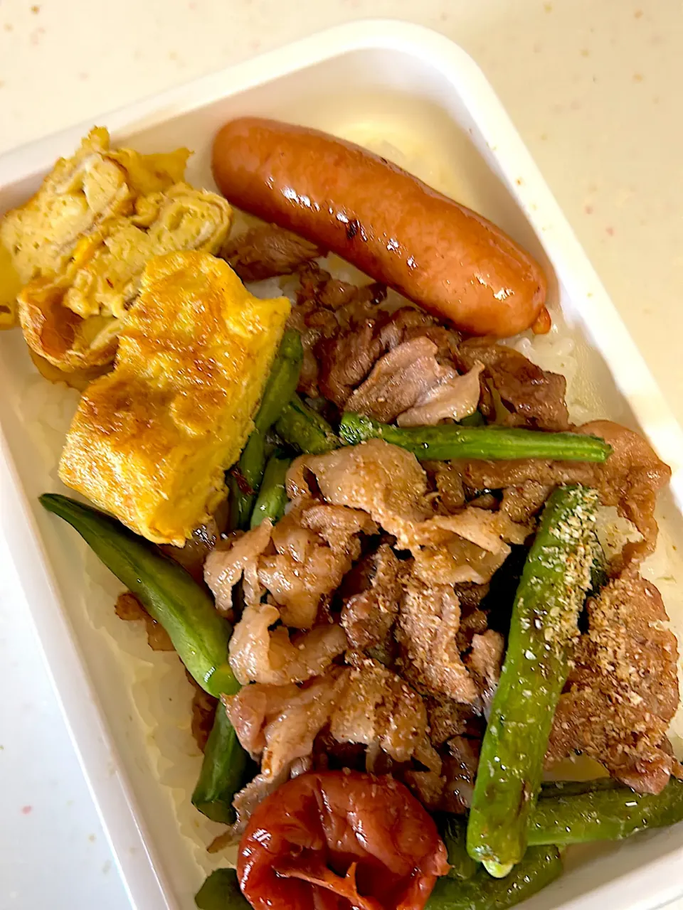 女子新入社員弁当|ぽててとさん