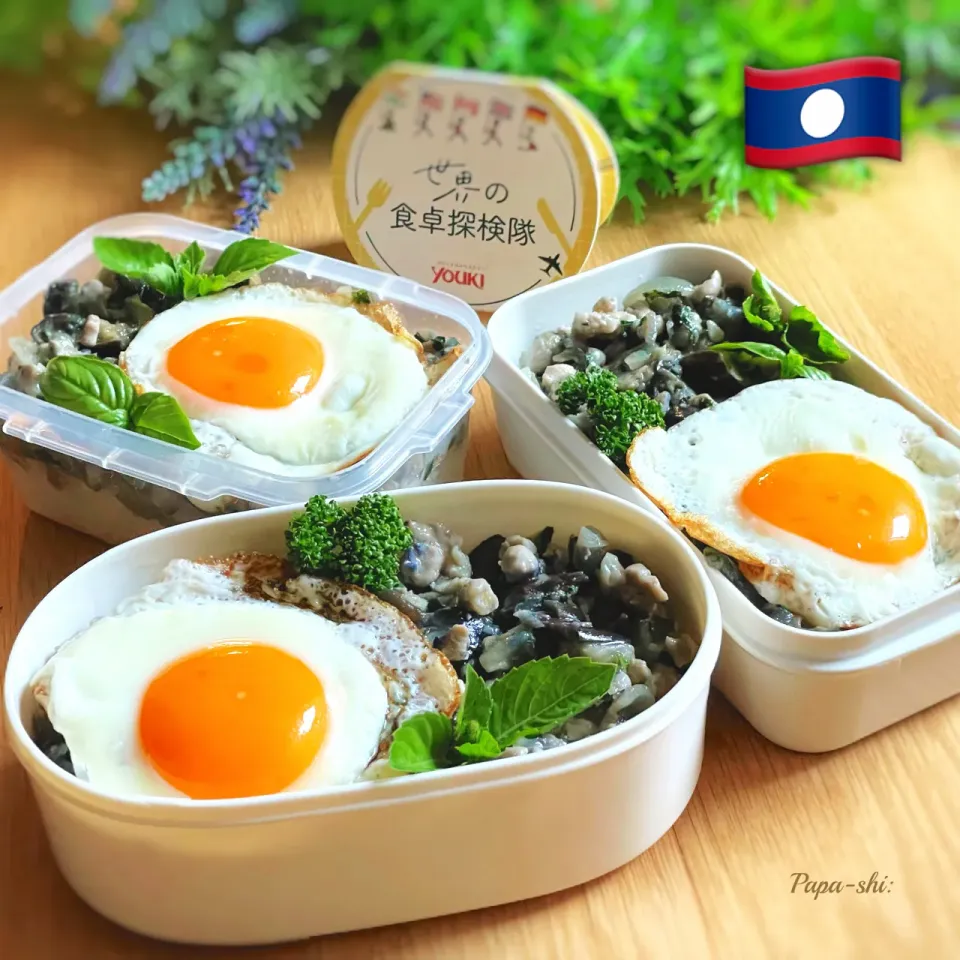 🌏弁当✈️|パパ氏さん