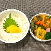 高校生息子のお弁当🍱 ポークチャップとニラチヂミ弁当🍱|Snow10さん