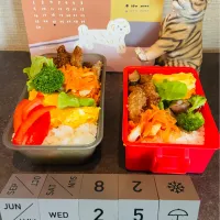 20250625🍱今日のお弁当🍱|akiyo22さん
