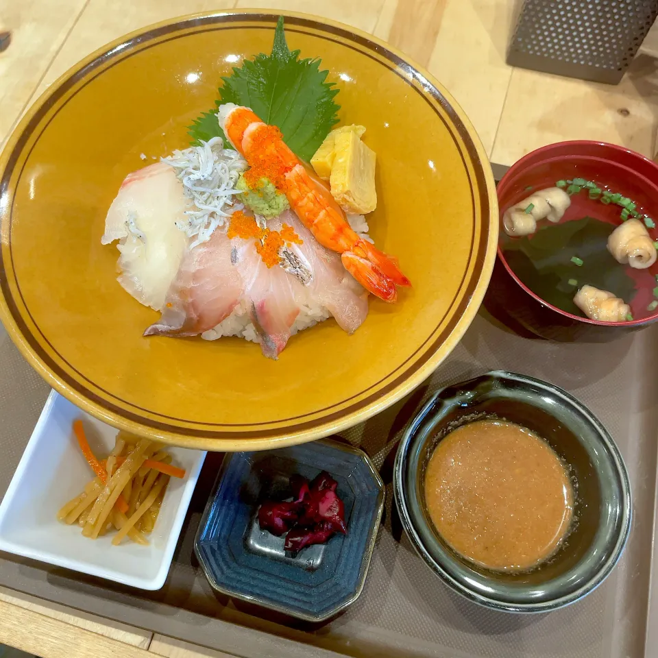 海鮮のっけ丼|T. Wonderさん