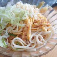 冷やしたぬきうどん|かおぴさん