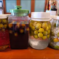 梅仕事：左から梅ブランデー、黒糖梅酒、ノーマル梅酒、梅シロップ|Funky Chefさん