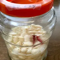 今年のらっきょう漬け|ちいこさん