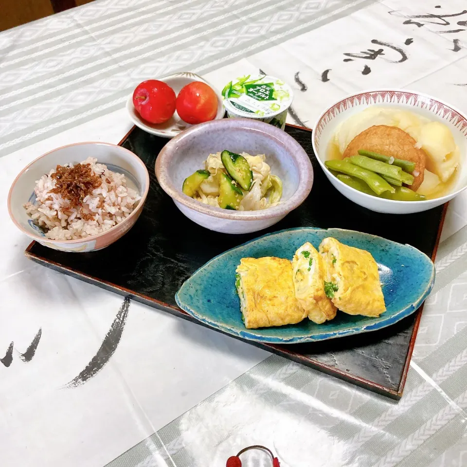 grandmaの晩ごはん☆ 今夜はインゲン豆🫛をもらったから煮物、キャベツときゅうりのあっさり和え、ネギ入り玉子焼きで頂きます

スモモはおとなりさんからの差し入れで…デザートに頂きます|kaoriさん
