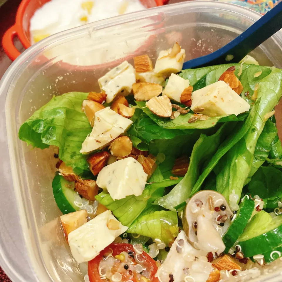 サラダ弁当|あーるさん