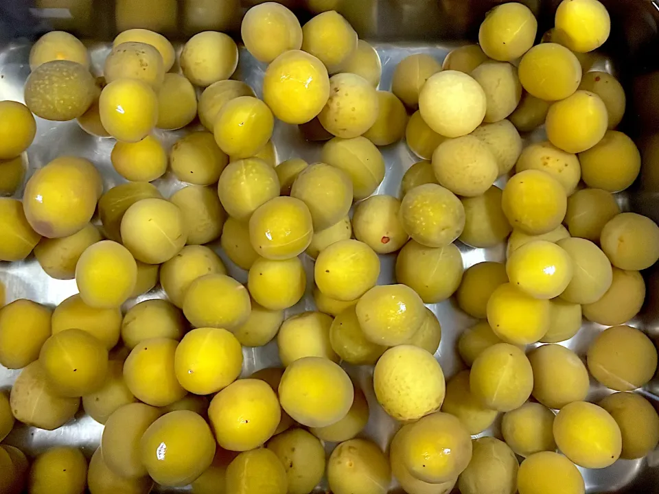 青梅の甘露煮|hotsusan30さん