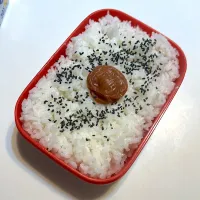 日の丸|ゆうりさん