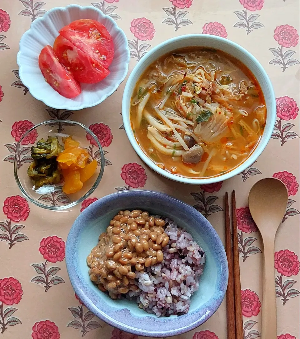 あさごはん🦊2025.06.26|きつねさん